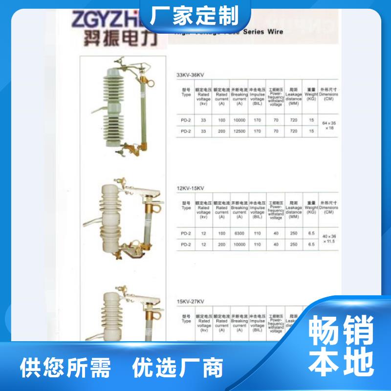 熔断器,真空断路器厂诚信经营快速物流发货