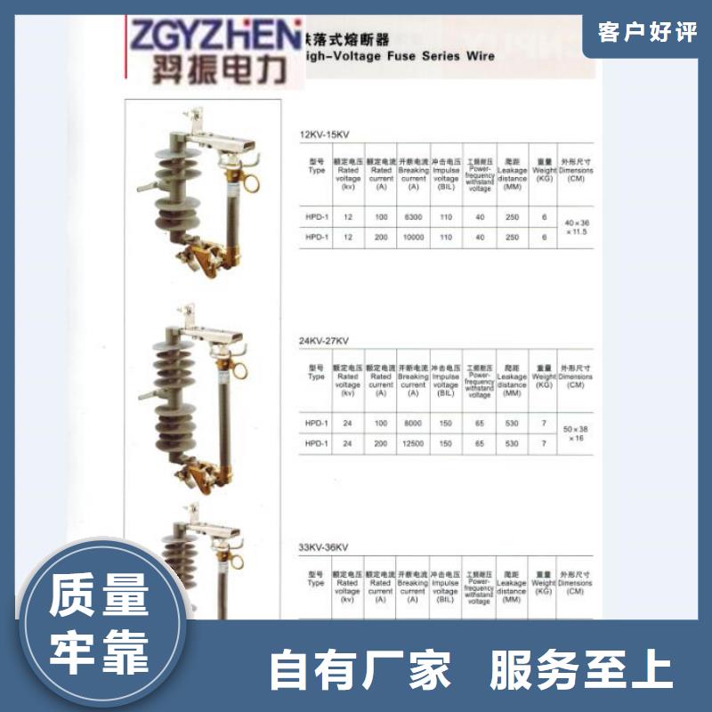 熔断器金属氧化物避雷器自主研发工期短发货快