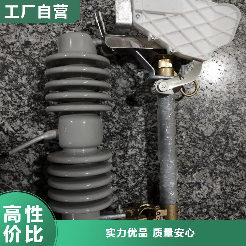 熔断器,瓷瓶绝缘子符合行业标准当地厂家