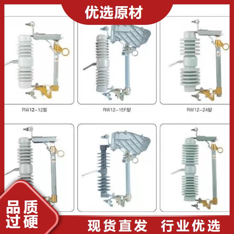 高压隔离开关CW2智能型式断路器量大更优惠本地供应商