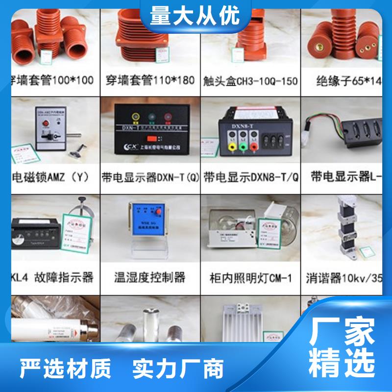 高压隔离开关35KV真空断路器量大更优惠源厂供货