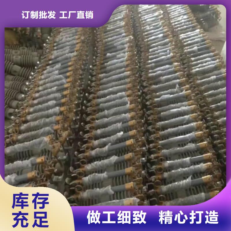 熔断器 金属氧化物避雷器资质认证当地生产商