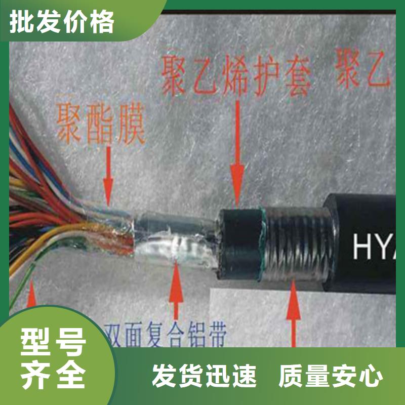 通信电缆屏蔽电缆N年大品牌量大更优惠