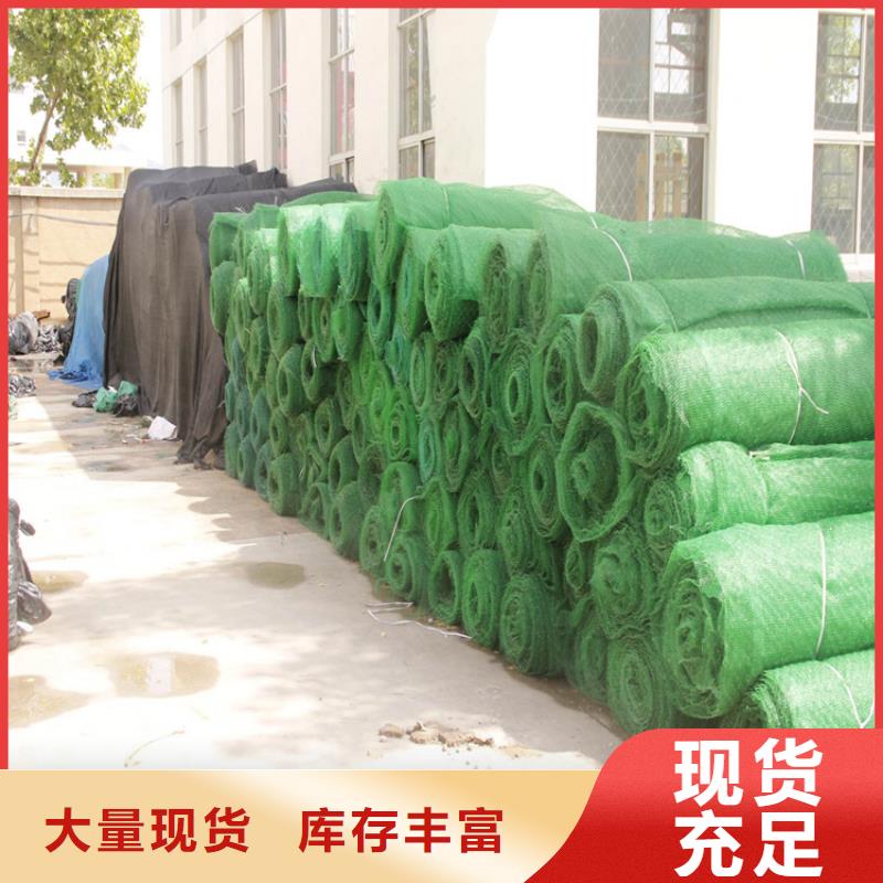 三维植被网防水排水板品质服务当地品牌