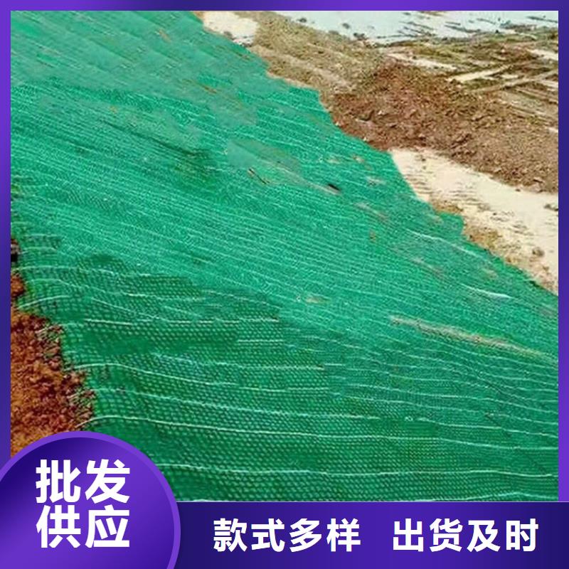 【椰丝毯】【植草格】有实力有经验认准大品牌厂家