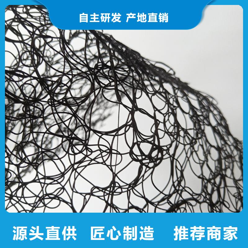 通风降噪丝网双向土工格栅工程施工案例设备齐全支持定制