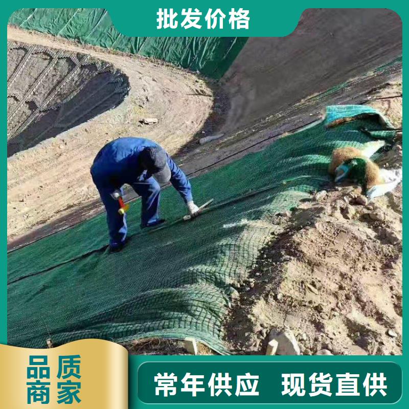 椰丝毯_双向塑料土工格栅多年厂家可靠放心购