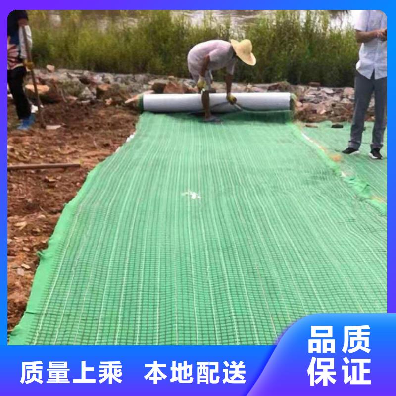 椰丝毯_【钢塑土工格栅】推荐商家当地公司