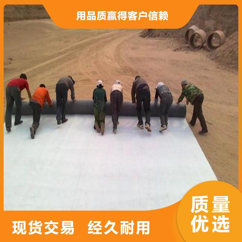 膨润土防水毯_聚酯长丝土工布高质量高信誉多种工艺
