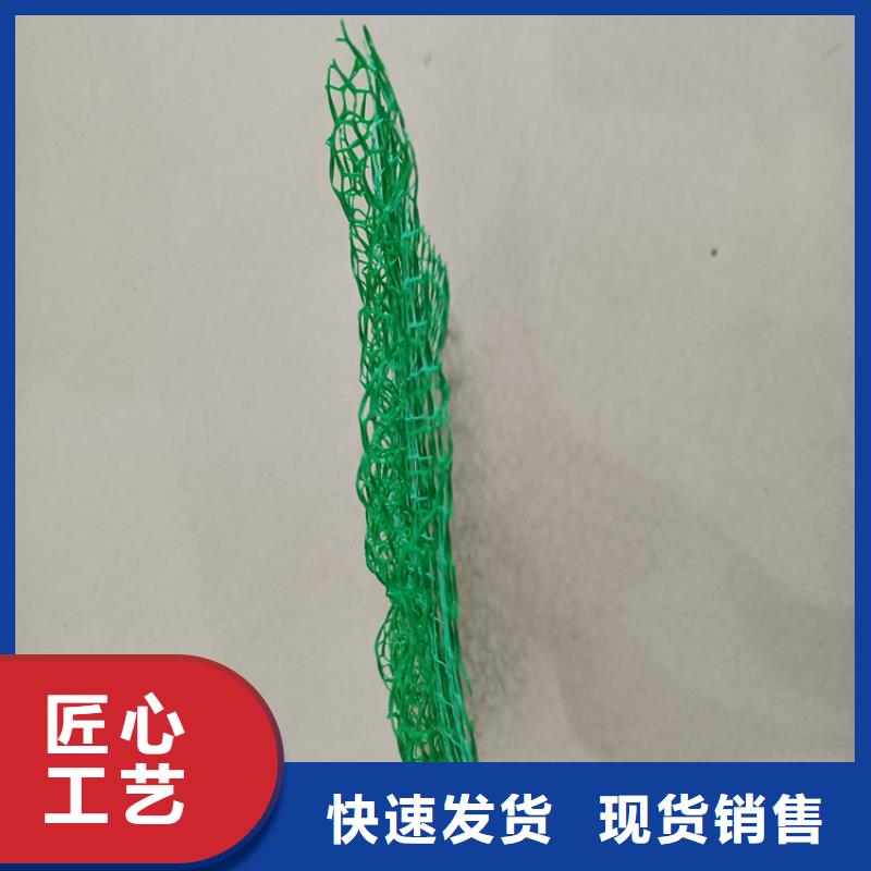 【三维植被网】HDPE复合排水板好产品价格低当地公司