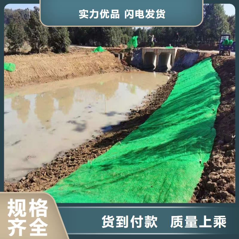 三维植被网短纤无纺土工布认准大品牌厂家价格地道