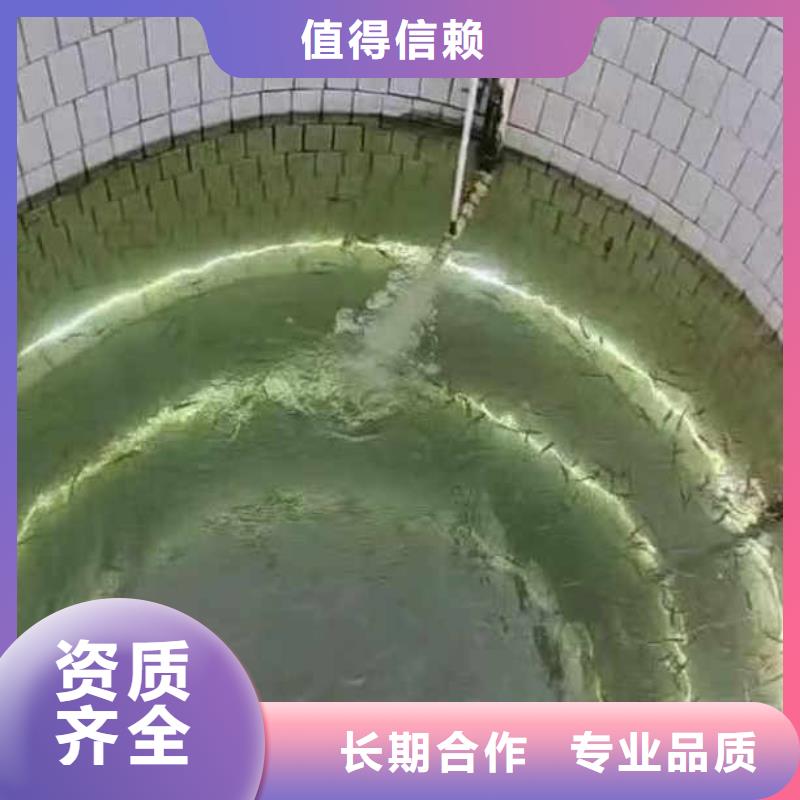 水下作业潜水员服务水下照相服务质优价廉正规公司