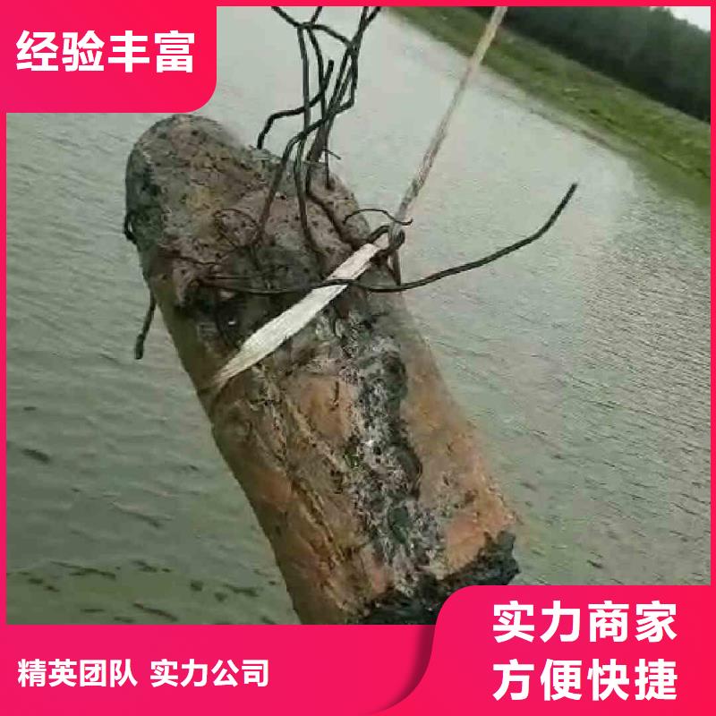 潜水员服务【水下摄影】团队经验丰富