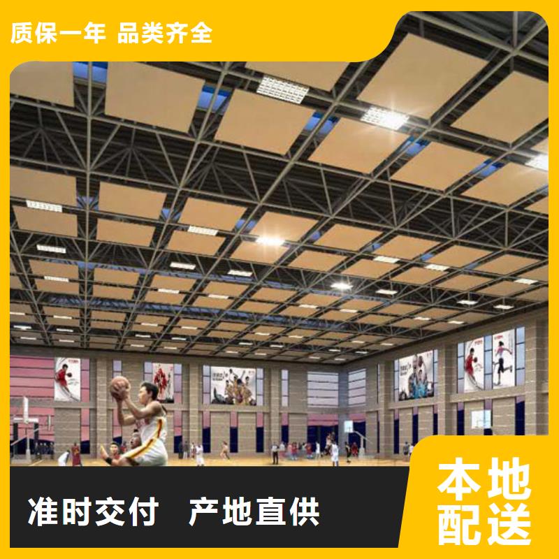 广东省佛山市西南街道壁球馆体育馆吸音改造价格--2024最近方案/价格专业品质