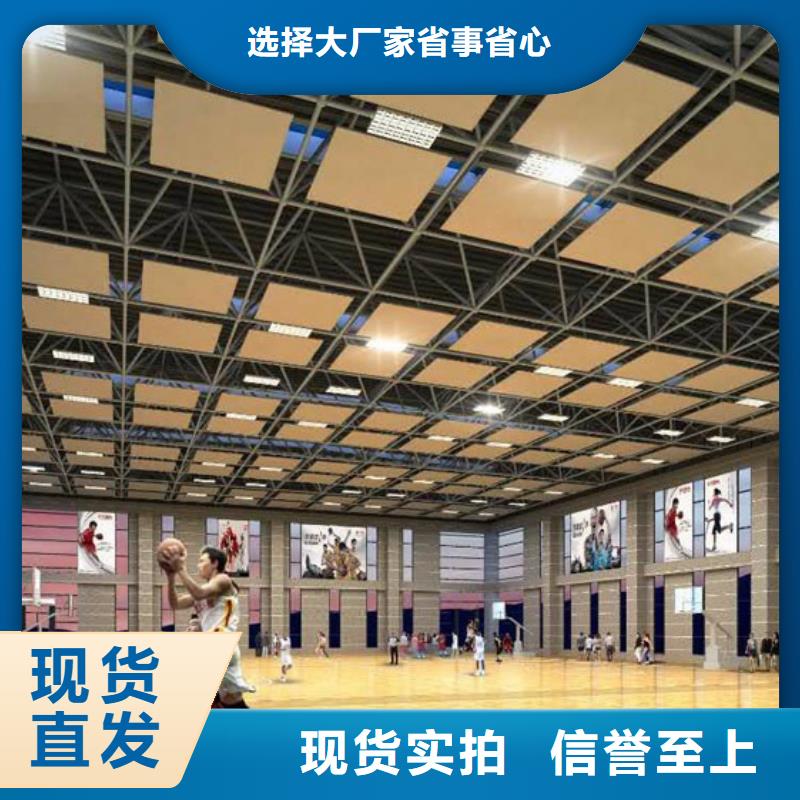 县羽毛球馆体育馆声学改造方案--2024最近方案/价格本地制造商