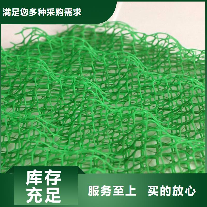 三维植被网-塑料盲管供应商当地货源