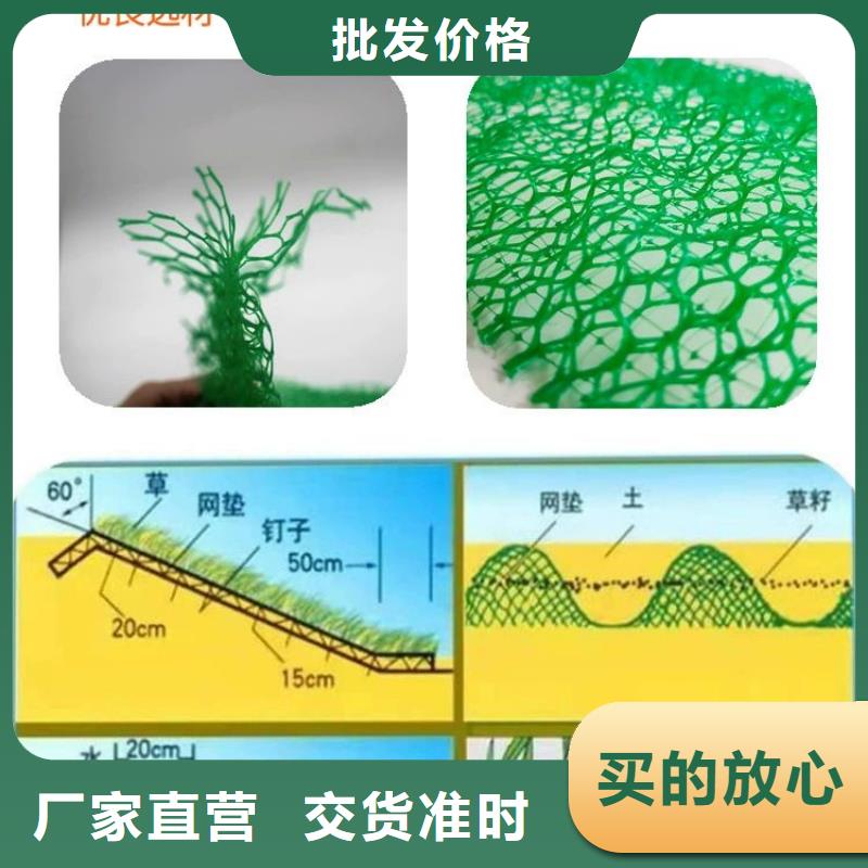 三维植被网【土工膜】源厂直销工厂价格