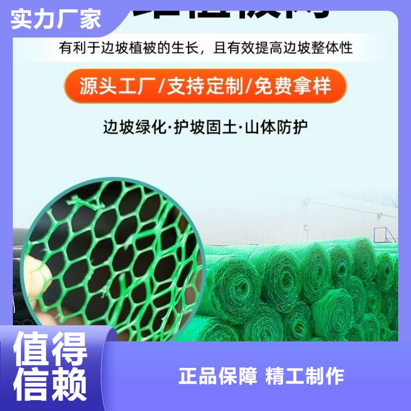 三维植被网止水铜片快捷物流同城厂家