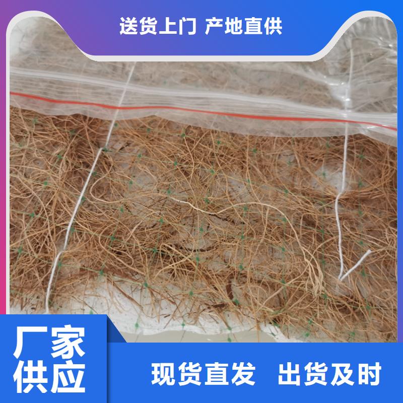 椰丝毯三维植被网库存丰富本地公司