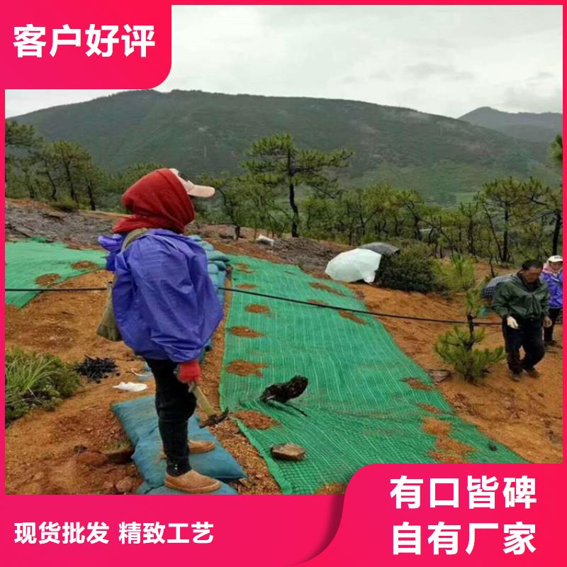 椰丝毯土工格栅现货齐全售后无忧产地直销