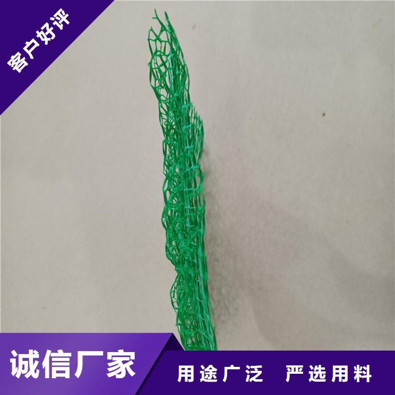 三维植被网玻璃纤维土工格栅资质认证当地供应商