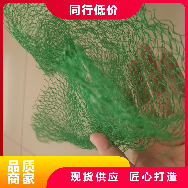 三维植被网,【HDPE土工膜】专注产品质量与服务专业设计