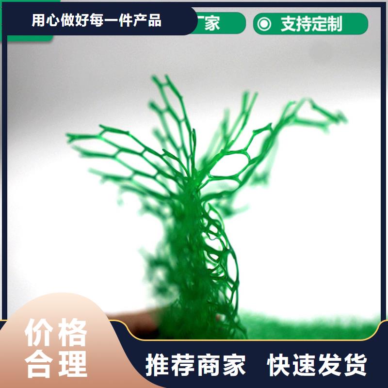 三维植被网【防渗膜】厂诚信经营用心制造