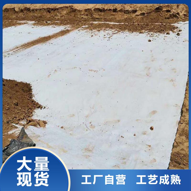 【膨润土防水毯】生态带值得买本地制造商