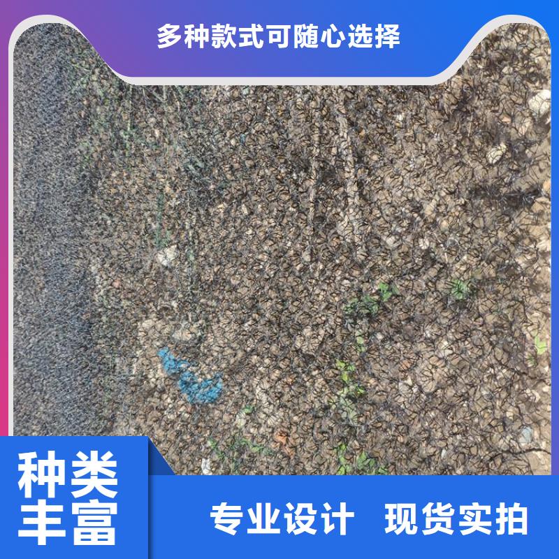 水土保护毯防裂贴现货齐全售后无忧当地制造商