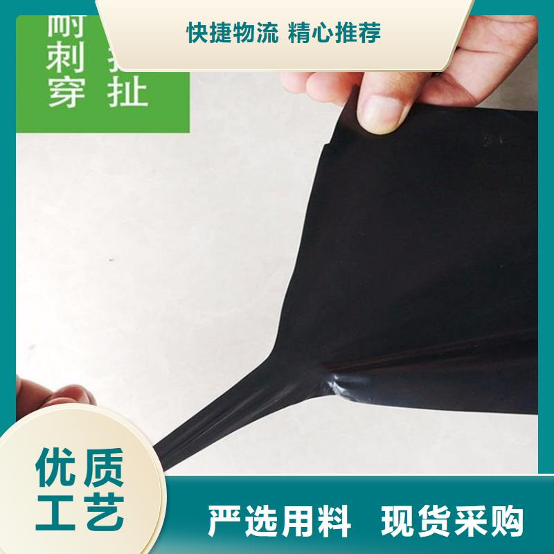 土工膜【玻纤土工格栅】支持定制批发讲信誉保质量