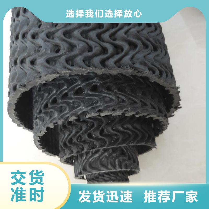 硬式透水管植草格库存量大自产自销