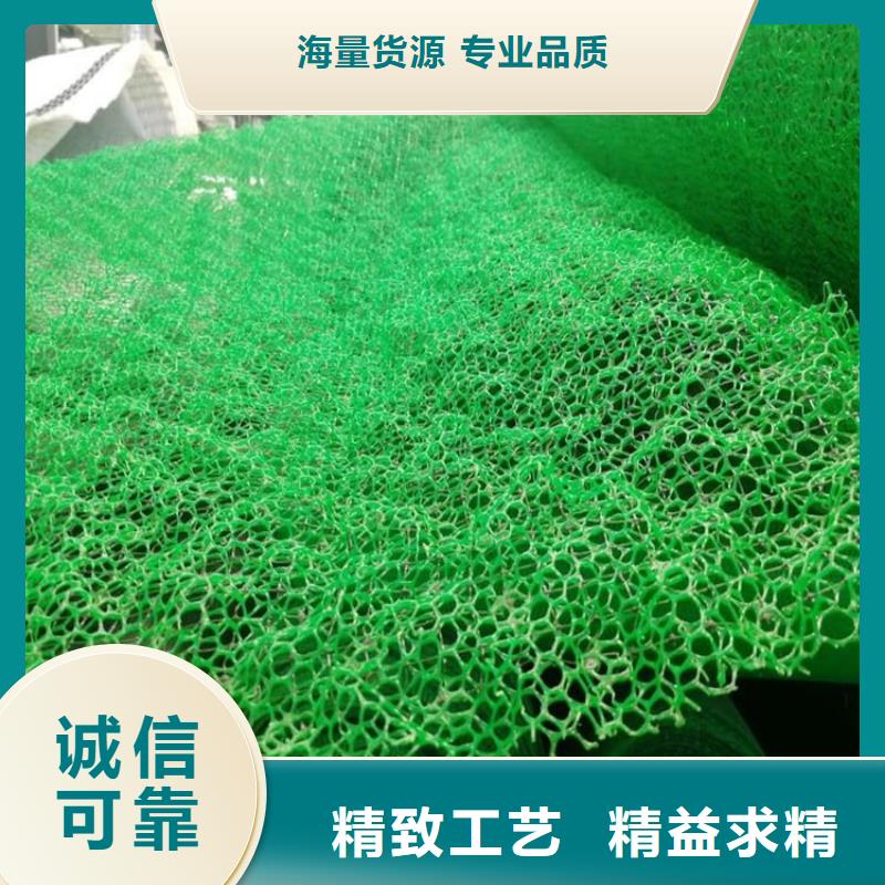 三维植被网双向塑料土工格栅价格低工艺成熟