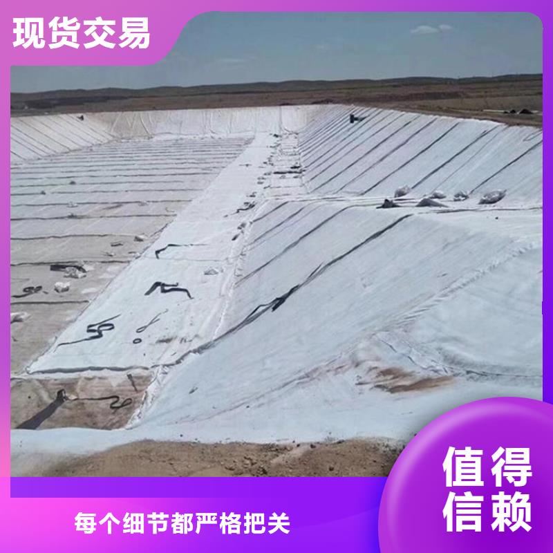 【膨润土防水毯】双向土工格栅好厂家有担当经验丰富品质可靠