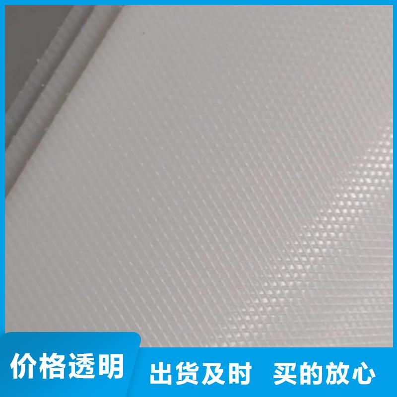 叉车推拉器塑料滑板-[尼龙齿轮]诚信经营现货现发产地源头好货