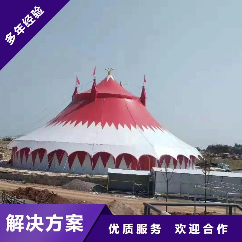 马戏团/羊驼商场马戏表演出租高效快捷快速