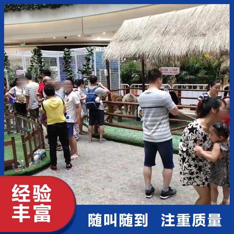 马戏团/羊驼海洋展租赁承接质量保证