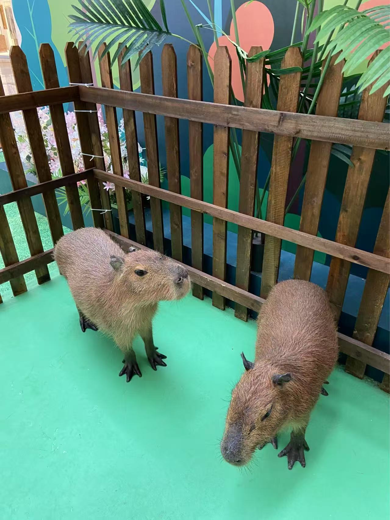 选择正规商丘永城策划厂家