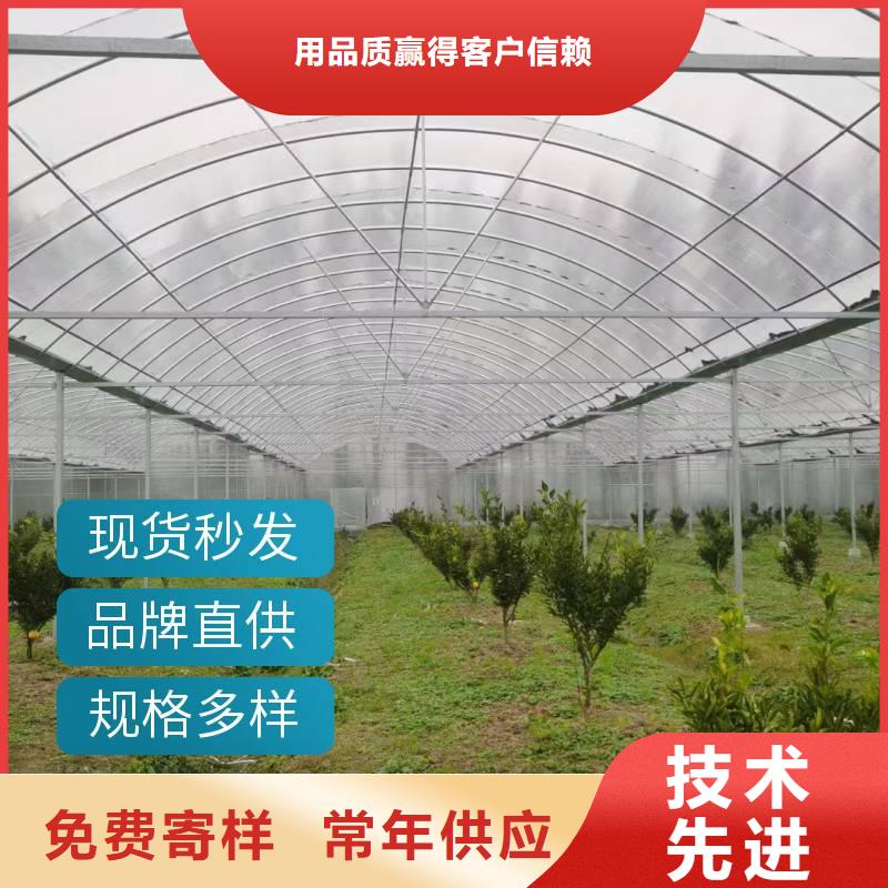 广东省汕头市中国（汕头）华侨经济文化合作试验区玻璃温室大棚造价按需定制行业优选