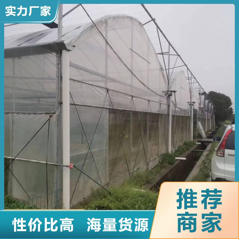 蔬菜大棚厂实体大厂海量现货直销