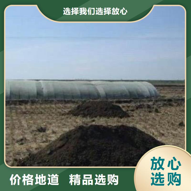 发酵鸡粪批发行情品种全