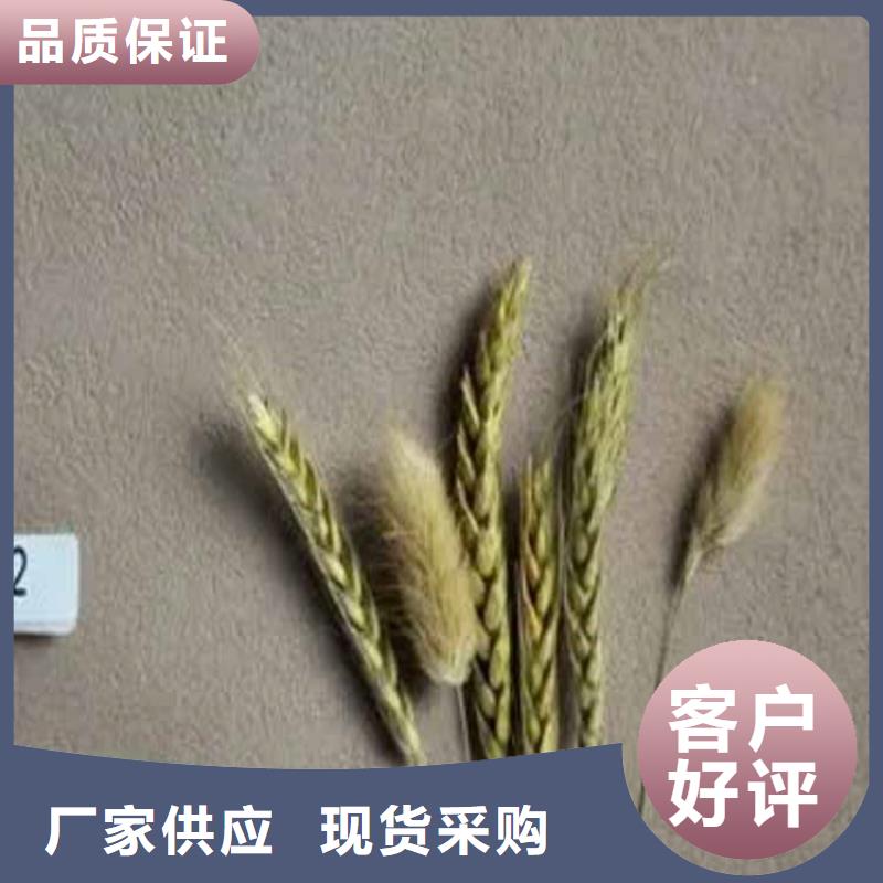 外墙灰泥价格优源头厂家量大价优