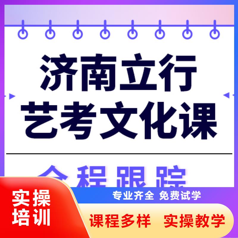 【艺术生文化课】艺考文化课集训班理论+实操老师专业