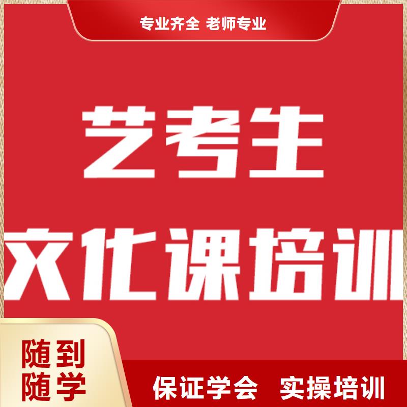 艺考生文化课冲刺有没有靠谱的亲人给推荐一下的附近厂家