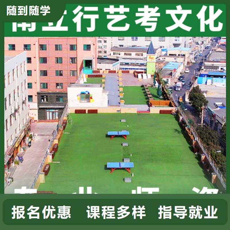 艺考文化课培训艺术生文化补习报名优惠理论+实操