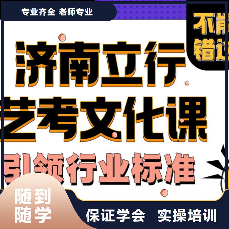 济南艺考文化课艺考文化课培训免费试学<本地>服务商