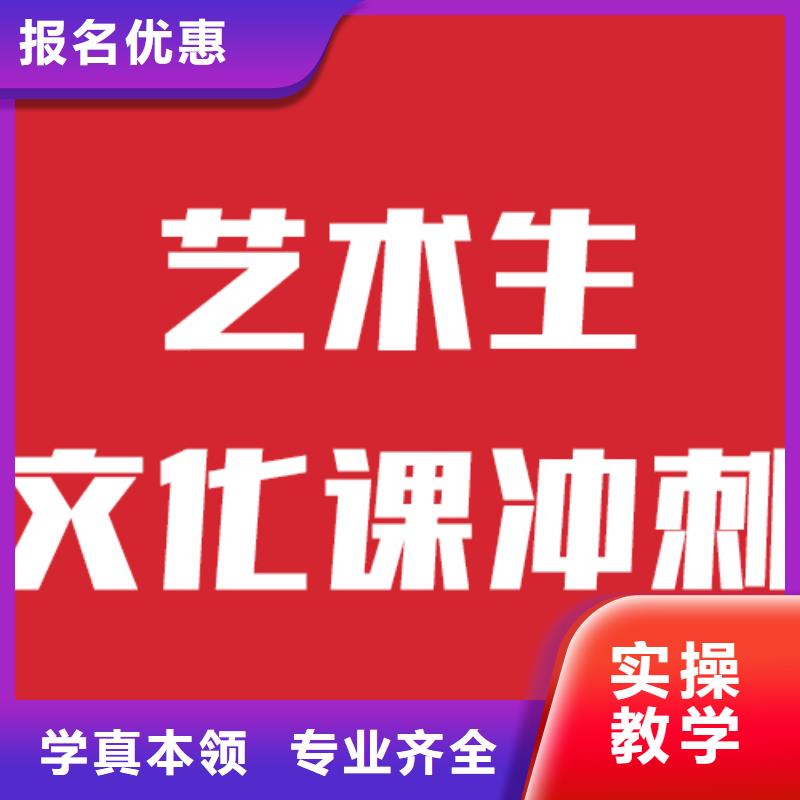 有哪些艺考生文化课培训补习要师资好的专业齐全