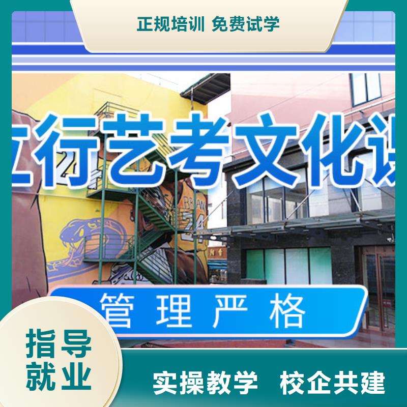 艺考文化课补习高考冲刺补习推荐就业手把手教学