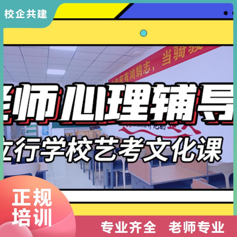 艺术生文化课培训补习一览表定制专属课程师资力量强