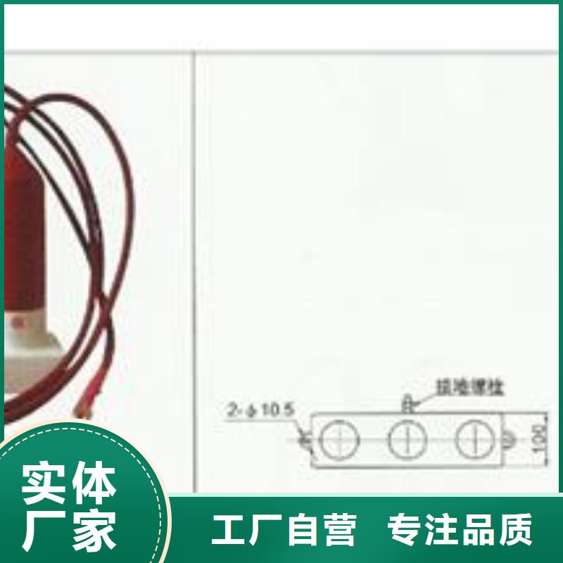 计数器【绝缘子】厂家新品选择大厂家省事省心