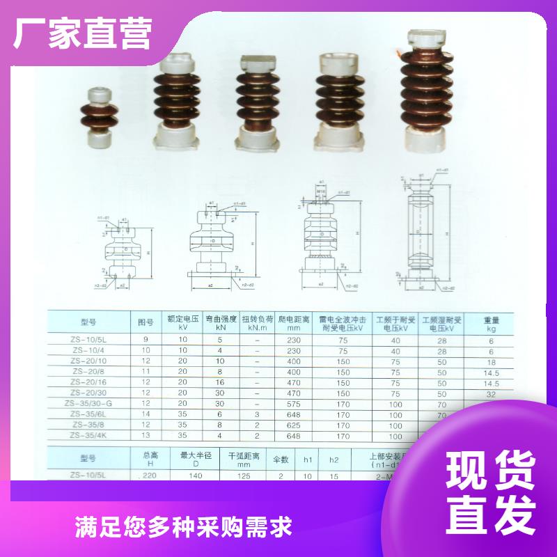 【绝缘子高低压电器选择大厂家省事省心】本地经销商